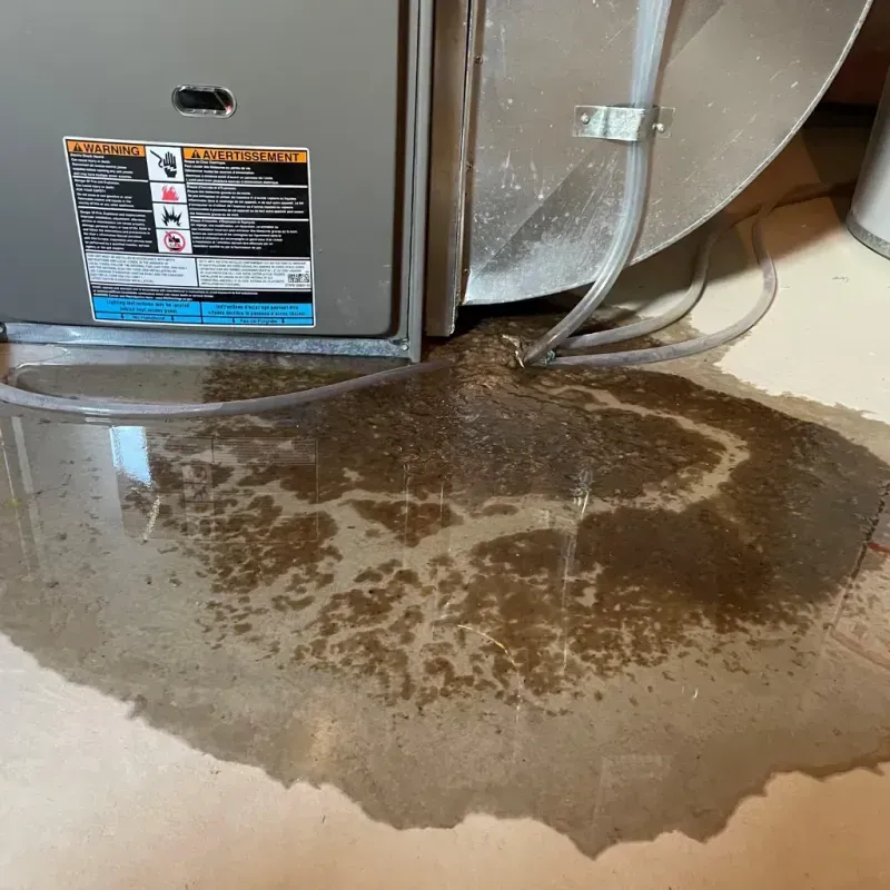 Appliance Leak Cleanup in Finderne, NJ